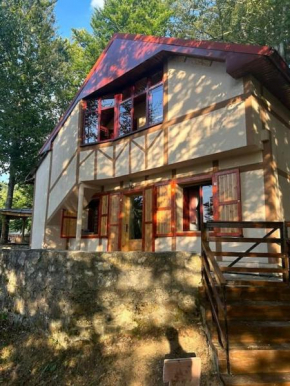Jovana's Forest Cottage